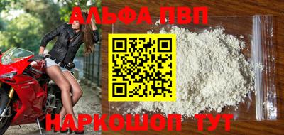 jwh Кингисепп