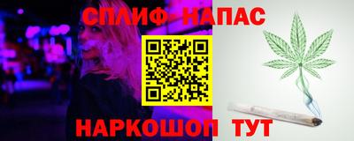 jwh Кингисепп