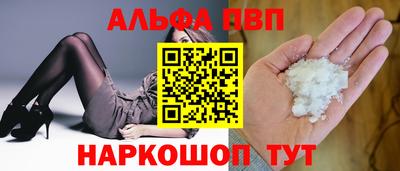 jwh Кингисепп